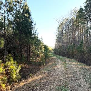 Photo #4 of Off Optimist Rd., Sussex, VA 244.4 acres