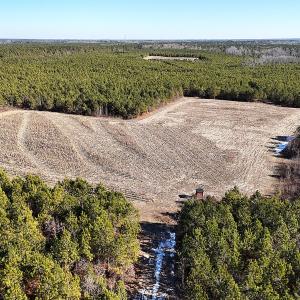 Photo #5 of Off Optimist Rd., Sussex, VA 244.4 acres