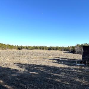 Photo #6 of Off Optimist Rd., Sussex, VA 244.4 acres