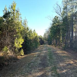 Photo #7 of Off Optimist Rd., Sussex, VA 244.4 acres