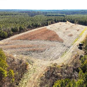 Photo #8 of Off Optimist Rd., Sussex, VA 244.4 acres
