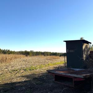 Photo #10 of Off Optimist Rd., Sussex, VA 244.4 acres