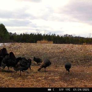 Photo #11 of Off Optimist Rd., Sussex, VA 244.4 acres