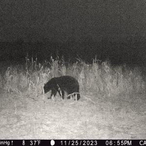 Photo #12 of Off Optimist Rd., Sussex, VA 244.4 acres