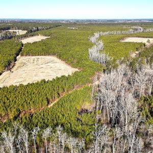 Photo #21 of Off Optimist Rd., Sussex, VA 244.4 acres