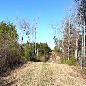 Photo #22 of Off Optimist Rd., Sussex, VA 244.4 acres