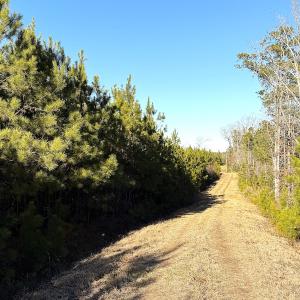 Photo #23 of Off Optimist Rd., Sussex, VA 244.4 acres