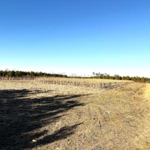 Photo #25 of Off Optimist Rd., Sussex, VA 244.4 acres