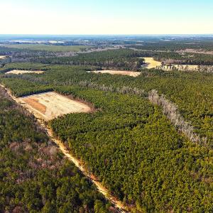 Photo #30 of Off Optimist Rd., Sussex, VA 244.4 acres