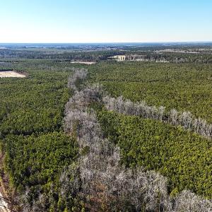 Photo #31 of Off Optimist Rd., Sussex, VA 244.4 acres