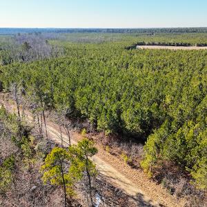 Photo #32 of Off Optimist Rd., Sussex, VA 244.4 acres