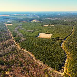 Photo #34 of Off Optimist Rd., Sussex, VA 244.4 acres