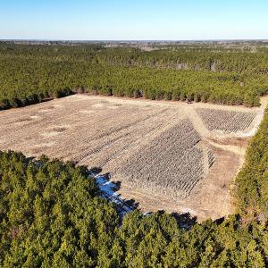 Photo #35 of Off Optimist Rd., Sussex, VA 244.4 acres