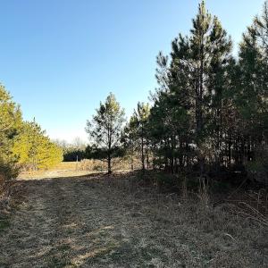 Photo #36 of Off Optimist Rd., Sussex, VA 244.4 acres