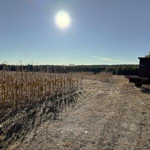 Photo #37 of Off Optimist Rd., Sussex, VA 244.4 acres