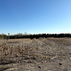 Photo #40 of Off Optimist Rd., Sussex, VA 244.4 acres