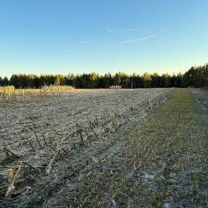 Photo #42 of Off Optimist Rd., Sussex, VA 244.4 acres