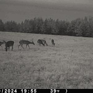 Photo #44 of Off Optimist Rd., Sussex, VA 244.4 acres