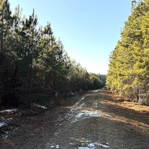Photo #46 of Off Optimist Rd., Sussex, VA 244.4 acres