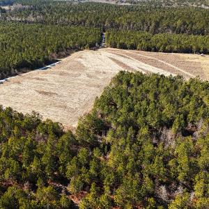 Photo #47 of Off Optimist Rd., Sussex, VA 244.4 acres