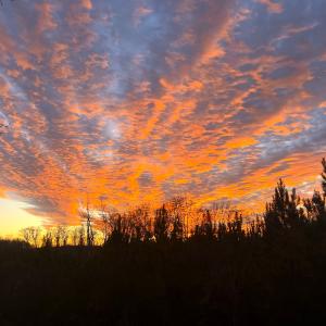 Photo #54 of Off Optimist Rd., Sussex, VA 244.4 acres