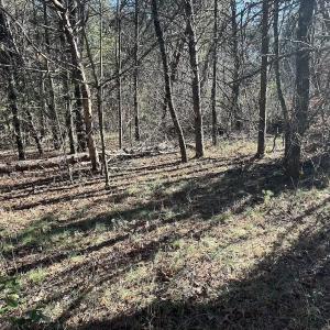 Photo #11 of Off Playmore Beach Road, Morganton, NC 22.6 acres
