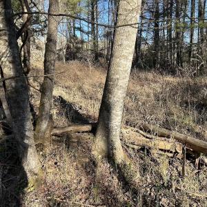 Photo #17 of Off Playmore Beach Road, Morganton, NC 22.6 acres