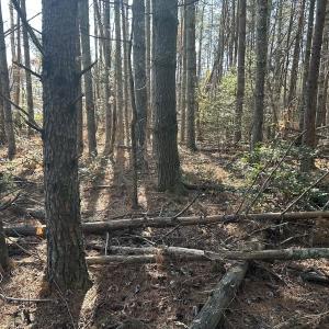 Photo #23 of Off Playmore Beach Road, Morganton, NC 22.6 acres