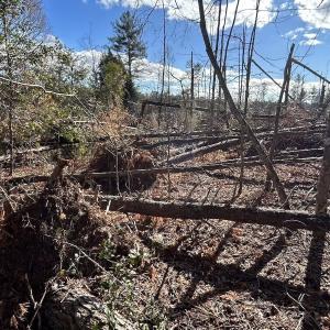 Photo #24 of Off Playmore Beach Road, Morganton, NC 22.6 acres