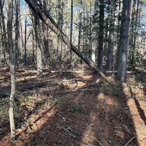 Photo #26 of Off Playmore Beach Road, Morganton, NC 22.6 acres