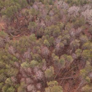 Photo #27 of Off Playmore Beach Road, Morganton, NC 22.6 acres