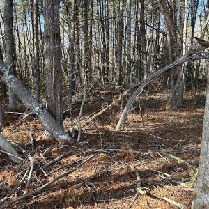 Photo #28 of Off Playmore Beach Road, Morganton, NC 22.6 acres
