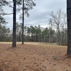 Photo #11 of SOLD property in Off McDougald Rd, Lillington, NC 10.5 acres