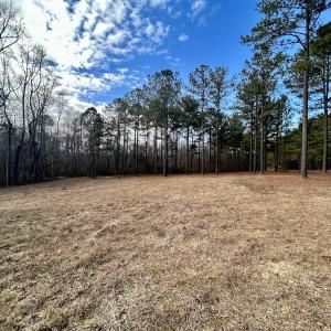 Photo #13 of SOLD property in Off McDougald Rd, Lillington, NC 10.5 acres