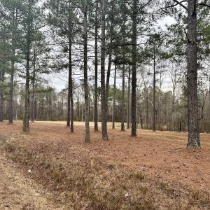 Photo #15 of SOLD property in Off McDougald Rd, Lillington, NC 10.5 acres