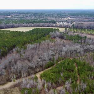 Photo #16 of SOLD property in Off McDougald Rd, Lillington, NC 10.5 acres