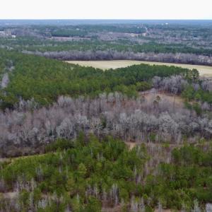 Photo #18 of SOLD property in Off McDougald Rd, Lillington, NC 10.5 acres