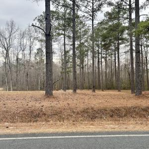 Photo #19 of SOLD property in Off McDougald Rd, Lillington, NC 10.5 acres
