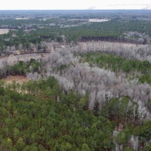 Photo #2 of SOLD property in Off McDougald Rd, Lillington, NC 10.5 acres