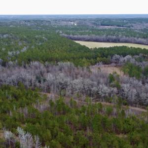Photo #20 of SOLD property in Off McDougald Rd, Lillington, NC 10.5 acres