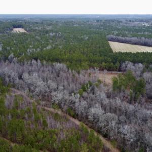 Photo #22 of SOLD property in Off McDougald Rd, Lillington, NC 10.5 acres