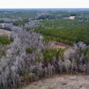Photo #24 of SOLD property in Off McDougald Rd, Lillington, NC 10.5 acres