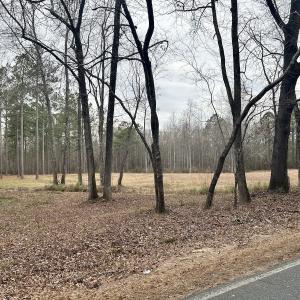 Photo #25 of SOLD property in Off McDougald Rd, Lillington, NC 10.5 acres
