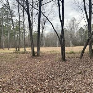 Photo #27 of SOLD property in Off McDougald Rd, Lillington, NC 10.5 acres