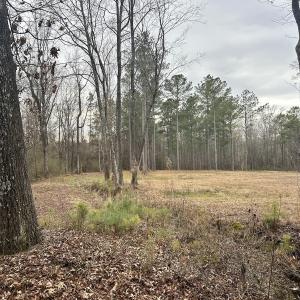 Photo #28 of SOLD property in Off McDougald Rd, Lillington, NC 10.5 acres