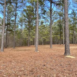 Photo #29 of SOLD property in Off McDougald Rd, Lillington, NC 10.5 acres