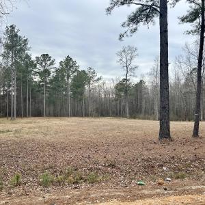 Photo #3 of SOLD property in Off McDougald Rd, Lillington, NC 10.5 acres