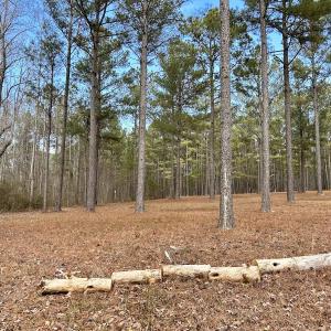 Photo #30 of SOLD property in Off McDougald Rd, Lillington, NC 10.5 acres