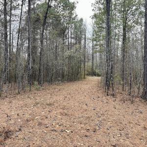 Photo #31 of SOLD property in Off McDougald Rd, Lillington, NC 10.5 acres