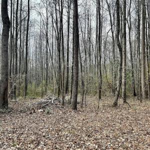 Photo #32 of SOLD property in Off McDougald Rd, Lillington, NC 10.5 acres
